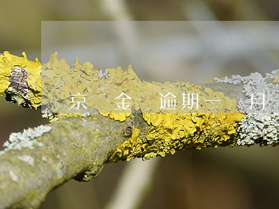 京東金條逾期一個月說要提交
