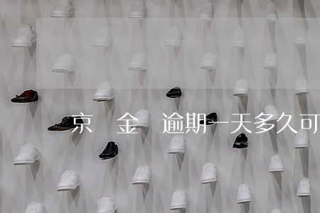 京東金條逾期一天多久可以再用-