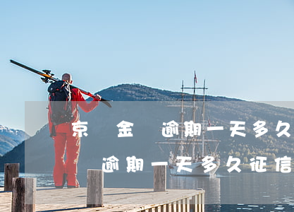 京東金條逾期一天多久征信看得到-京東金條逾期一天多久征信看得到記錄