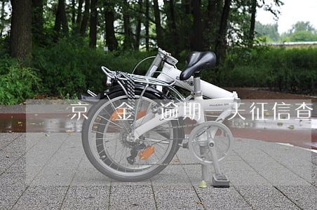 京東金條逾期一天征信查得到嗎-
