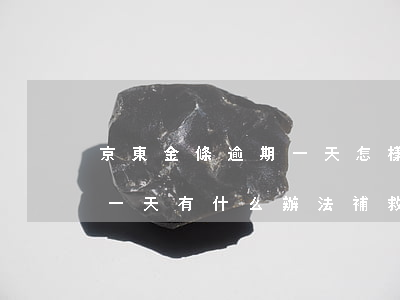 京東金條逾期一天怎樣補救(京東金條逾期了一天,有什么辦法補救嗎)