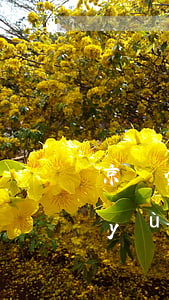 京東金條逾期一天會(huì)影響信譽(yù)嗎-京東金條逾期一天會(huì)影響信譽(yù)嗎知乎