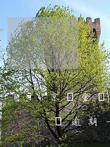 京東金條逾期一天會給你打電話嗎-京東金條逾期一天會聯(lián)系緊急聯(lián)系人嗎