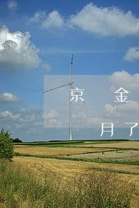 京東金條逾期一天有影響嗎(京東金條逾期一個月了會有什么后果?)