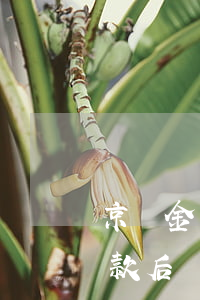 京東金條逾期一天還款(京東金條逾期一天還款后還可以借出來)