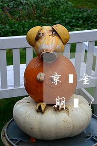 京東金條逾期一年多有什么后果 京東金條逾期會(huì)有影響嗎?京東金條逾期攻略!
