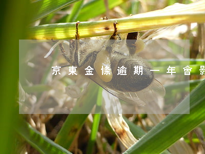 京東金條逾期一年會影響房貸嗎