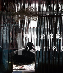 京東金條逾期三個(gè)月了會(huì)有什么后果?（京東金條逾期六個(gè)月會(huì)有什么后果）