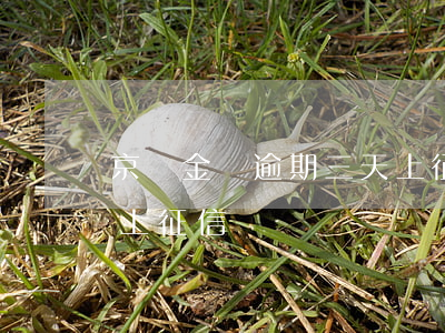 京東金條逾期三天上征信 京東金條逾期三天上征信