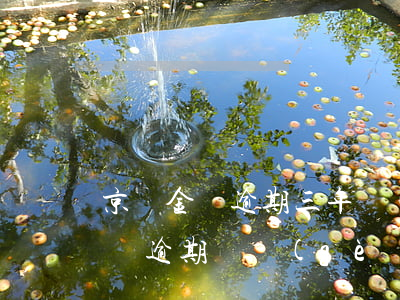 京東金條逾期三年會(huì)怎樣(京東金條逾期幾個(gè)月沒(méi)還后果會(huì)怎么樣)
