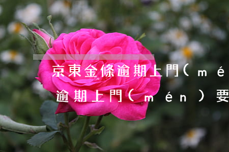 京東金條逾期上門(mén)要賬(京東金條逾期上門(mén)要賬)