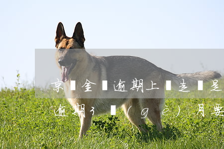 京東金條逾期上門走訪是真的嗎-京東金條逾期3個(gè)月,要家訪,真的去嗎
