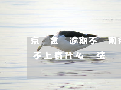 京東金條逾期不讓用(京東金條逾期了暫時還不上有什么辦法)