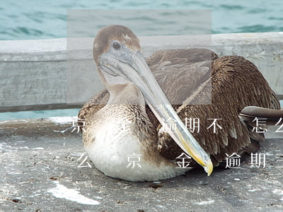 京東金條逾期不還怎么樣(京東金條不還會怎么樣京東金條逾期三個月)