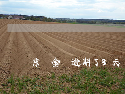 京東金條逾期了3天會影響征信嗎