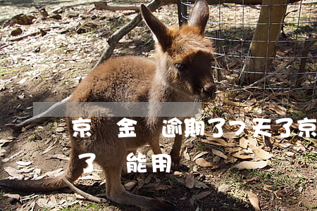 京東金條逾期了7天了(京東金條逾期了7天了還能用嗎)