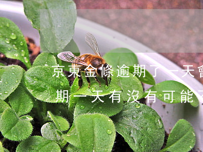京東金條逾期了一天會上征信嗎 京東金條逾期一天有沒有可能不上征信
