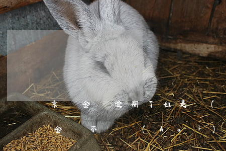 京東金條逾期了但是沒(méi)掉分(京東金條不還會(huì)怎么樣京東金條逾期三個(gè)月)