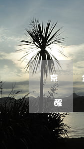 京東金條逾期了但是沒(méi)有短信提醒