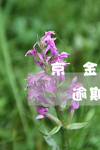 京東金條逾期了但是沒有短信提醒-京東金條逾期了但是沒有短信提醒怎么辦