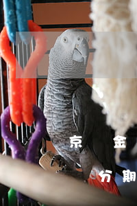 京東金條逾期了可以叫分24期嗎-京東金條分期逾期了要全部收回有嗎