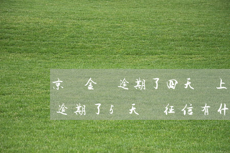 京東金條逾期了四天會上征信么-京東金條逾期了5天對征信有什么影響