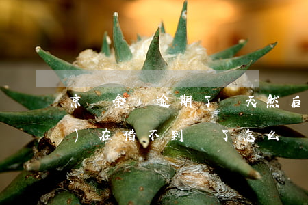 京東金條逾期了幾天然后還了,現(xiàn)在借不到錢了怎么辦（京東金條逾期想還沒錢）
