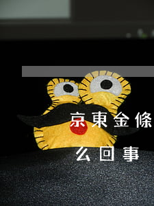 京東金條逾期了怎么回事(京東金條逾期了怎么回事)