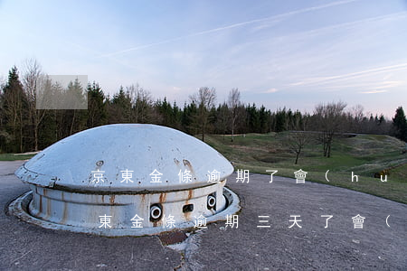 京東金條逾期了會(huì)有什么后果(京東金條逾期三天了會(huì)有什么后果?)