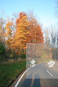 京東金條逾期了能談免利息嗎