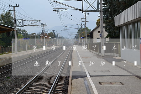 京東金條逾期了還不上了怎么辦-京東金條逾期了幾天然后還了,現(xiàn)在借不到錢了怎么辦