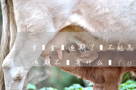 京東金條逾期了還不起怎么辦(京東金條欠款逾期不還有什么嚴(yán)重后果)