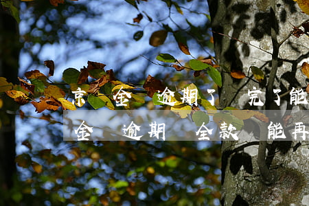 京東金條逾期了還完了能接著借出來嗎（京東金條逾期還全款還能再借嗎）