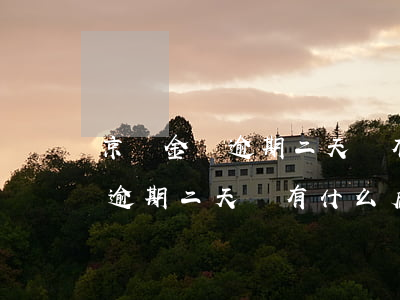 京東金條逾期二天會有什么后果-京東金條逾期二天會有什么后果嗎