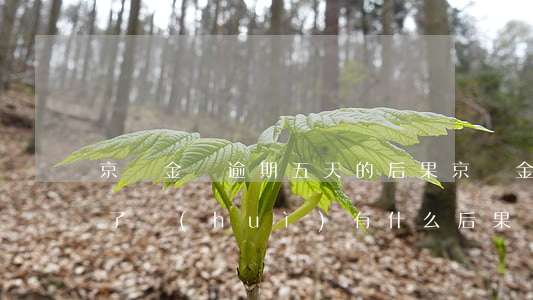 京東金條逾期五天的后果(京東金條逾期三天了會(huì)有什么后果?)