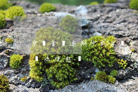 京東金條逾期仲裁 京東金條逾期十天了客服說法院起訴