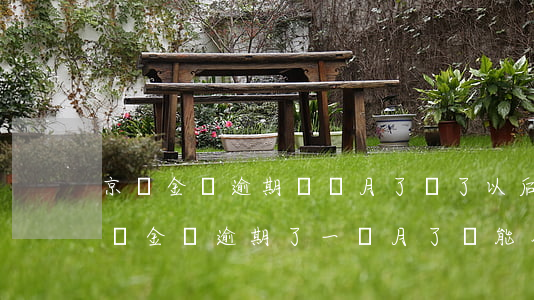 京東金條逾期兩個月了,還了以后還能用嗎?（京東金條逾期了一個月了還能用嗎）