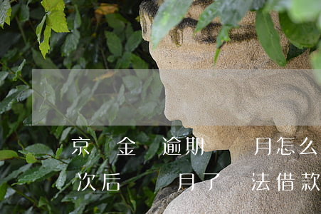 京東金條逾期兩個月怎么辦(京東金條逾期一次后兩個月了無法借款)