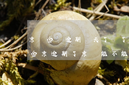 京東金條逾期兩天了,還了以后還能用嗎?（京東金京逾期了京東能不能用）