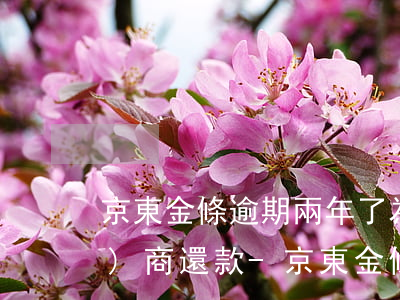 京東金條逾期兩年了為什么不能協(xié)商還款-京東金條逾期兩年了為什么不能協(xié)商還款了