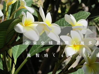 京東金條逾期六萬多(有沒有京東金條逾期幾萬暫時(shí)還不上的)