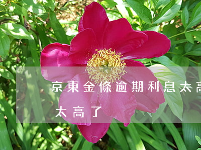 京東金條逾期利息太高了(京東金條逾期利息太高了)