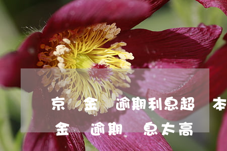 京東金條逾期利息超過本金需要償還嗎（京東金條逾期罰息太高）