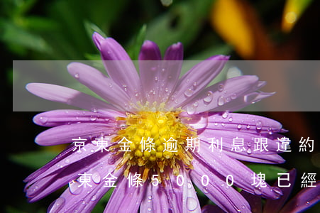 京東金條逾期利息跟違約金怎么算-欠了京東金條5000塊已經(jīng)兩個(gè)月了違約金要多少?