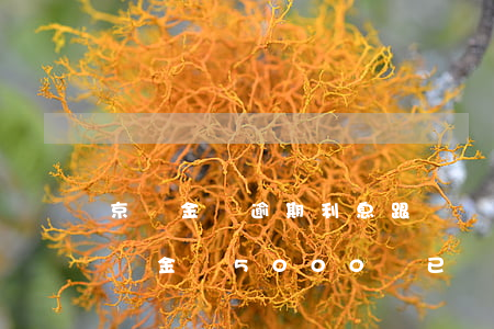 京東金條逾期利息跟違約金怎么算-欠了京東金條5000塊已經(jīng)兩個月了違約金要多少?