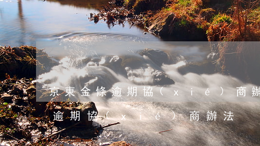 京東金條逾期協(xié)商辦法(京東金條逾期協(xié)商辦法)