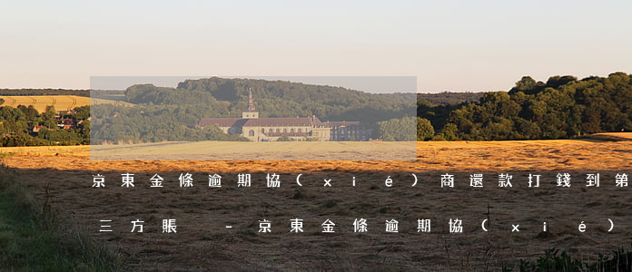 京東金條逾期協(xié)商還款打錢到第三方賬戶-京東金條逾期協(xié)商還款打錢到第三方賬戶怎么辦