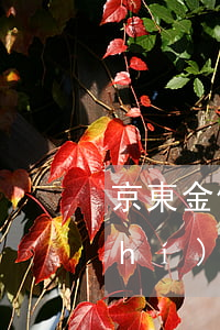 京東金條逾期去村委會(huì)核實(shí)(京東金條欠款半年了會(huì)發(fā)信息到村委會(huì)嗎!)
