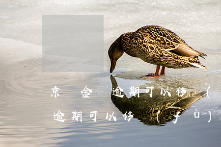 京東金條逾期可以修復(fù)嗎(京東金條逾期可以修復(fù)嗎)