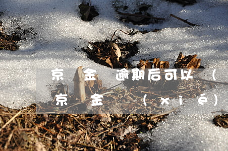 京東金條逾期后可以協(xié)商還本金(京東金條協(xié)商只還本金)